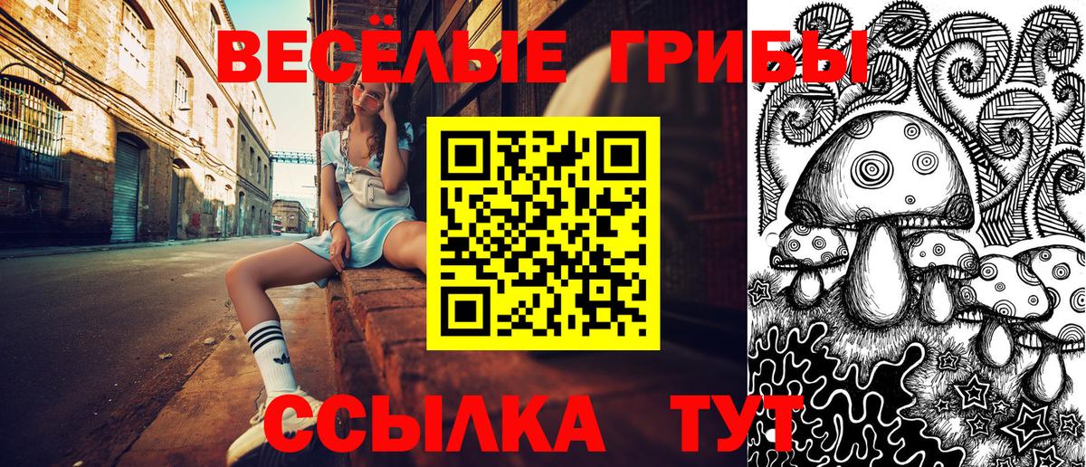 Галлюциногенные грибы мицелий Краснознаменск