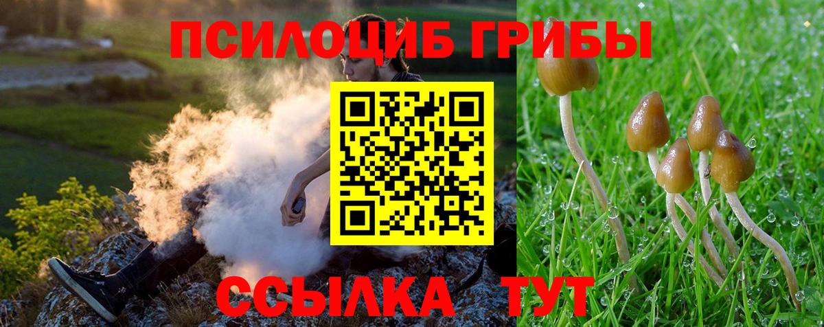 Краснознаменск  Псилоцибиновые грибы MAGIC MUSHROOMS  как найти закладки  Вход с VPN 